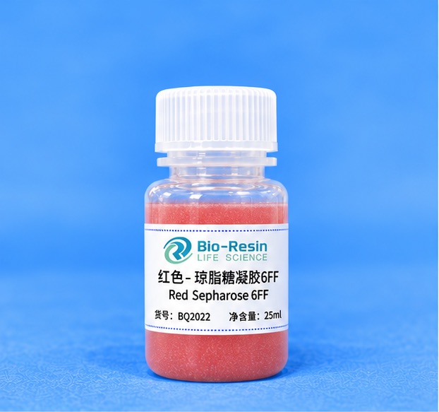 红色-琼脂糖凝胶6FF