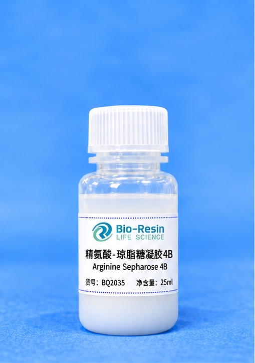 精氨酸-琼脂糖凝胶4B
