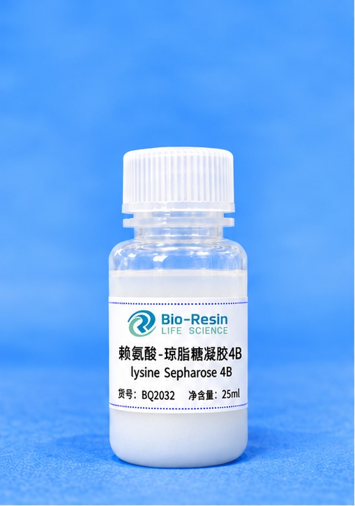 赖氨酸-琼脂糖凝胶4B