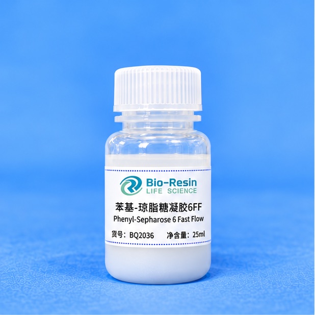 苯基-琼脂糖凝胶6FF