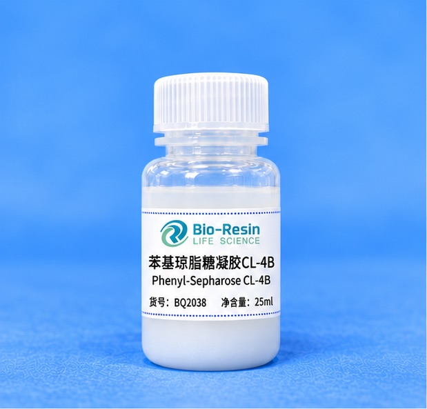 苯基-琼脂糖凝胶CL-4B