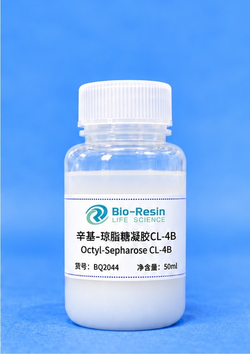 辛基-琼脂糖凝胶CL-4B
