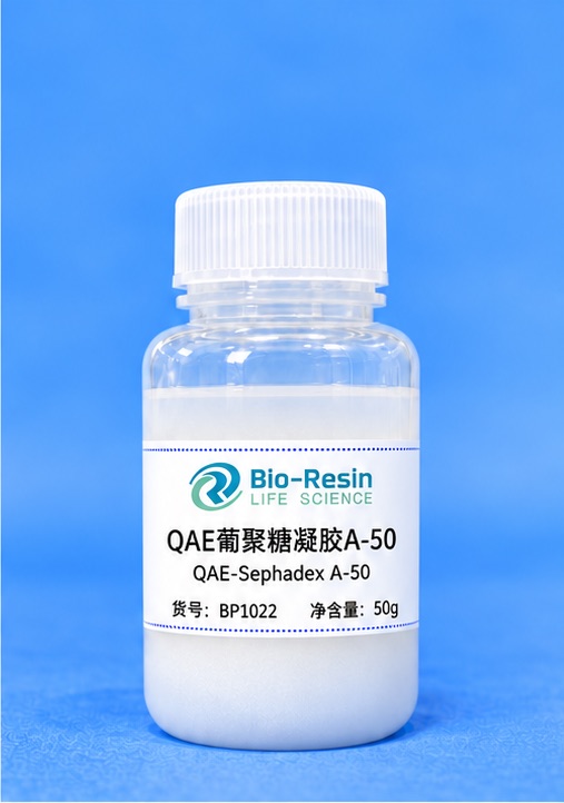 QAE葡聚糖凝胶A-50