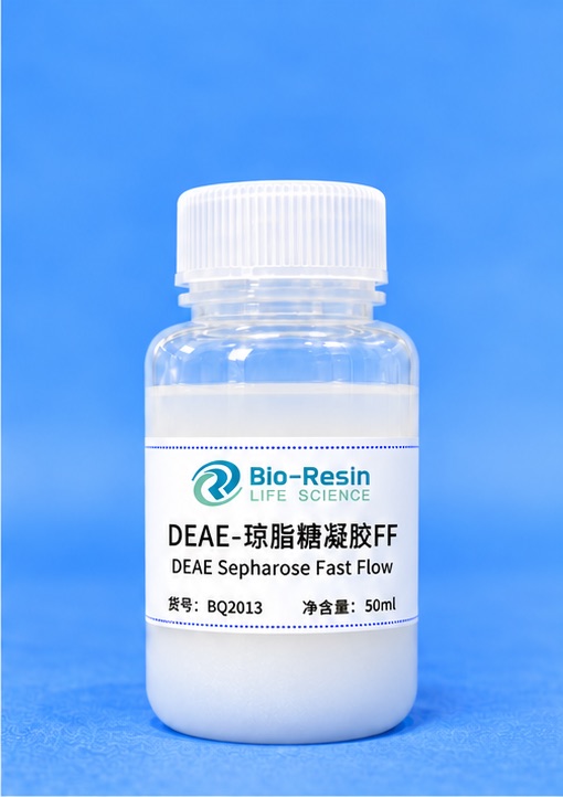 DEAE-琼脂糖凝胶FF