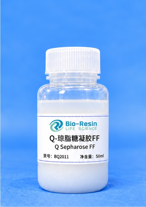 Q-琼脂糖凝胶FF