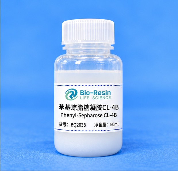 苯基琼脂糖凝胶CL-4B