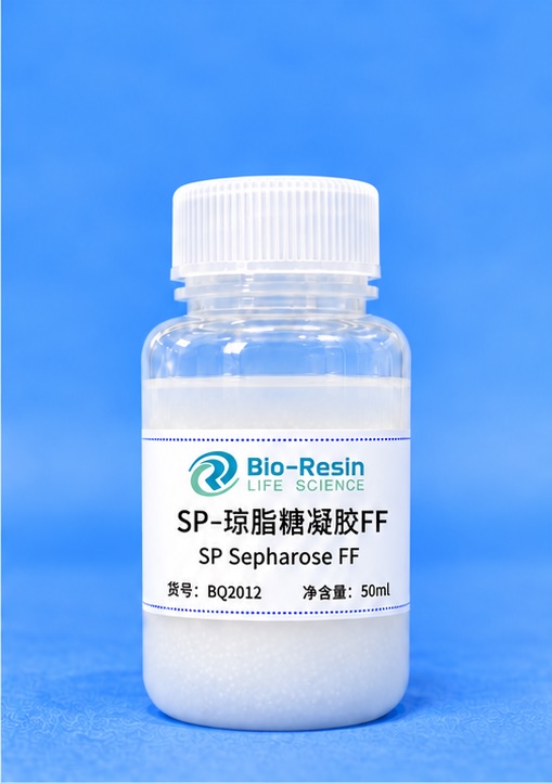 SP-琼脂糖凝胶FF