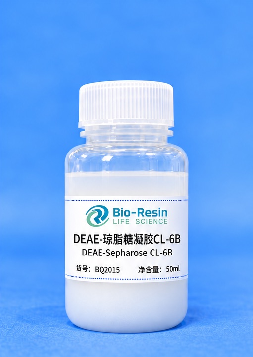 DEAE-琼脂糖凝胶CL-6B